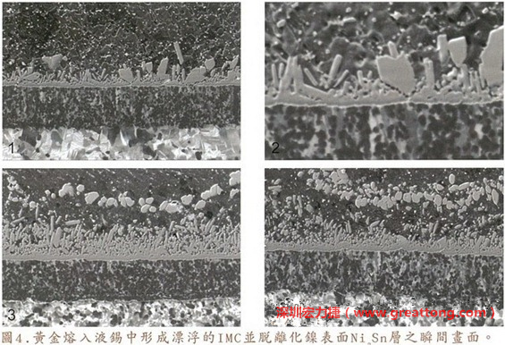 下面四張圖片為放大4500倍的SEM圖像，說明在回流焊爐熱量不足的情況下，黃金成份正要從鎳層分離融入焊錫之中的瞬間，當零件遭受外力沖擊的時候就極有可能從這一整排AuSn、、AuSn2或AuSn4的IMC處裂開。